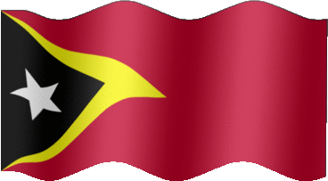 Extra Large still flag of Timor-Leste