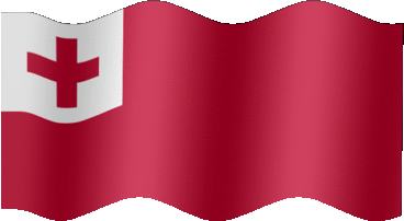 Extra Large still flag of Tonga