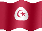 Large still flag of Tunisia