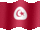Small still flag of Tunisia