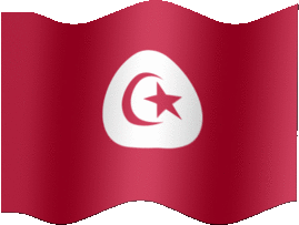 Extra Large still flag of Tunisia