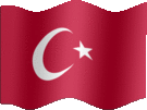 Large still flag of Turkey