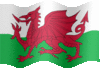 Medium animated flag of Wales