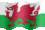Small still flag of Wales