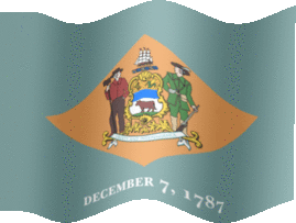 Extra Large still flag of Delaware