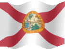 Large still flag of Florida