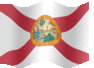 Medium animated flag of Florida