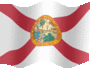 Animated Florida flags