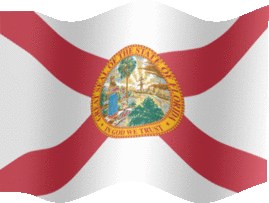Extra Large still flag of Florida