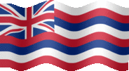 Large still flag of Hawaii