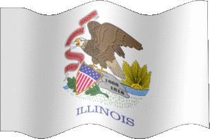 Extra Large still flag of Illinois