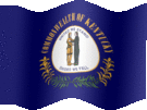 Large still flag of Kentucky