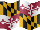 Large still flag of Maryland