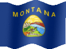 Large still flag of Montana