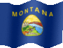 Medium still flag of Montana