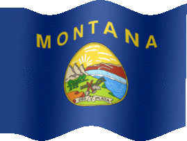 Extra Large still flag of Montana