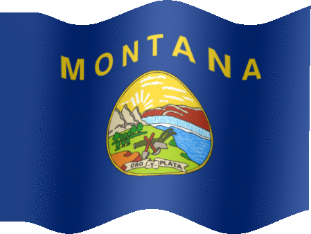 Very Big still flag of Montana