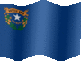 Animated Nevada flags