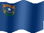 Medium still flag of Nevada