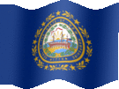 Large still flag of New Hampshire