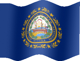 Extra Large still flag of New Hampshire