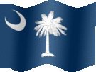 Large still flag of South Carolina