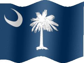 Extra Large still flag of South Carolina