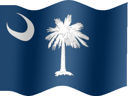 Very Big animated flag of South Carolina