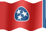 Large still flag of Tennessee