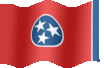 Medium animated flag of Tennessee