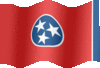Animated Tennessee flags