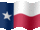 Small still flag of Texas