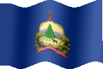 Large still flag of Vermont