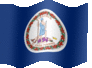 Medium animated flag of Virginia