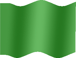 Extra Large still flag of Green flag