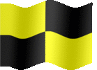 Large animated flag of Karting caution period