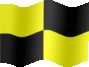 Medium still flag of Karting caution period