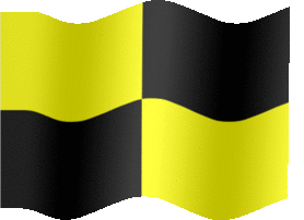 Extra Large animated flag of Karting caution period