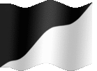 Large animated flag of Per bend black white flag