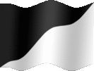 Large still flag of Per bend black white flag