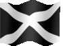Medium animated flag of White cross flag